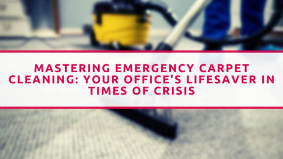 Emergency Carpet Cleaning Services